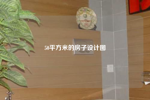 50平方米的房子设计图