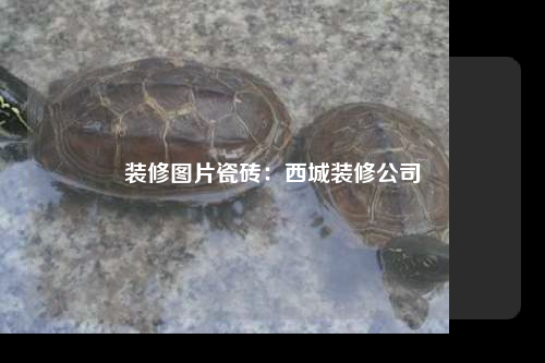 装修图片瓷砖:西城装修公司