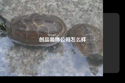 创品装饰公司怎么样