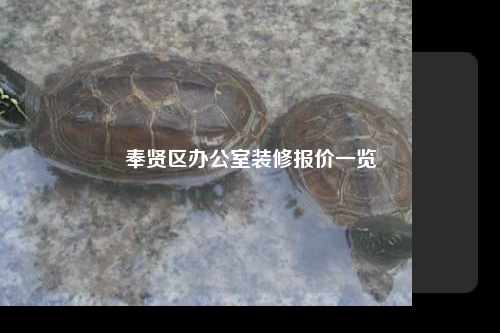 奉贤区办公室装修报价一览