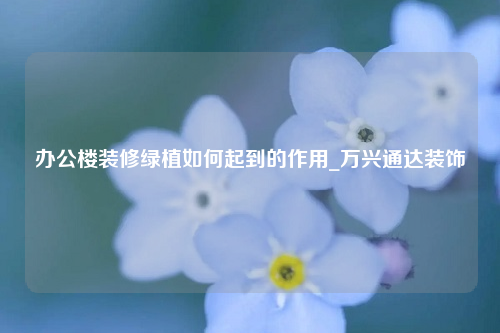 办公楼装修绿植如何起到的作用_万兴通达装饰