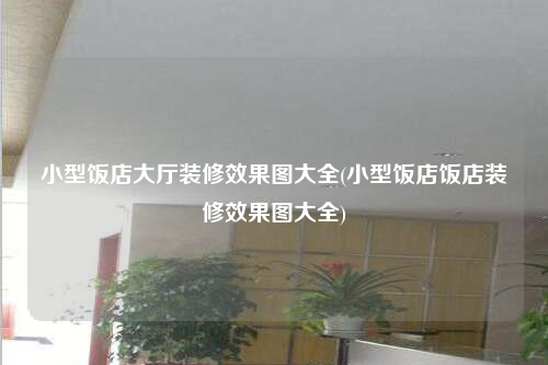 小型饭店大厅装修效果图大全(小型饭店饭店装修效果图大全)