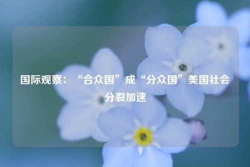 国际观察:“合众国”成“分众国”美国社会分裂加速