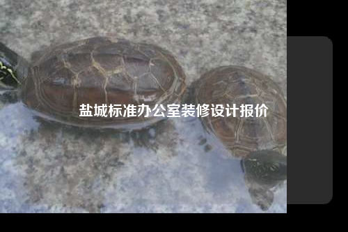 盐城标准办公室装修设计报价