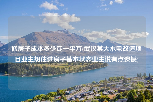 修房子成本多少钱一平方(武汉某大水电改造项目业主想住进房子基本状态业主说有点遗憾)