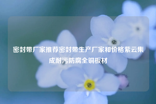 密封带厂家推荐密封带生产厂家和价格紫云集成耐污防腐全铜板材