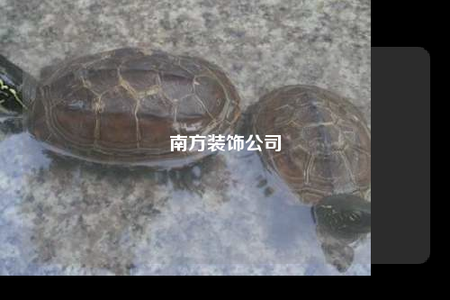 南方装饰公司
