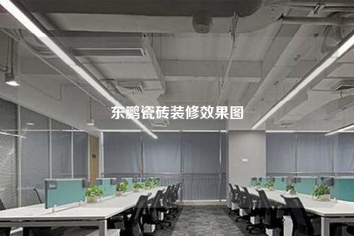 东鹏瓷砖装修效果图