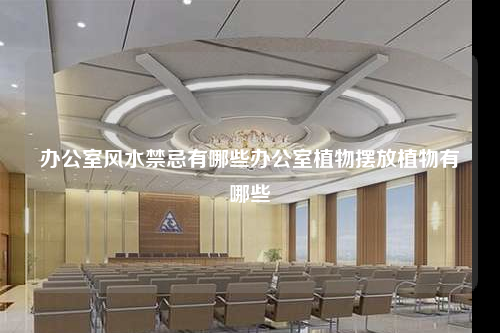办公室风水禁忌有哪些办公室植物摆放植物有哪些