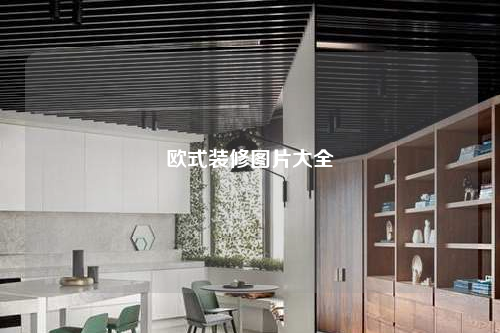 欧式装修图片大全
