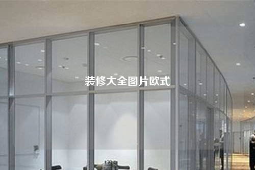 装修大全图片欧式
