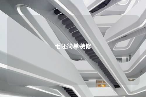 毛坯简单装修