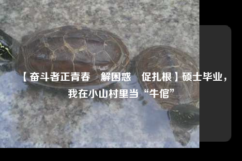 【奋斗者正青春?解困惑?促扎根】硕士毕业,我在小山村里当“牛倌”