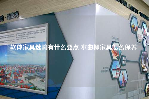 软体家具选购有什么要点 水曲柳家具怎么保养