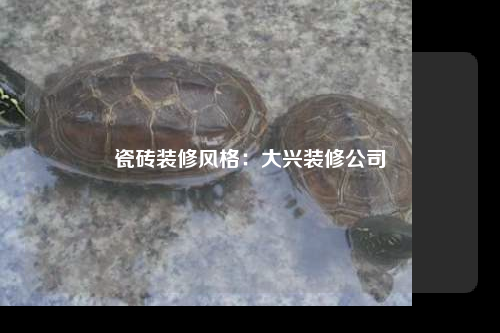 瓷砖装修风格:大兴装修公司