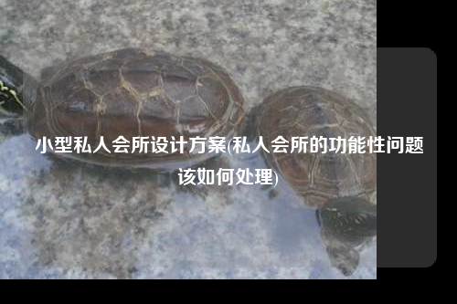 小型私人会所设计方案(私人会所的功能性问题该如何处理)