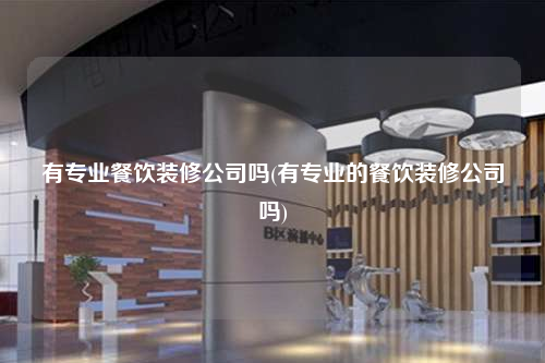 有专业餐饮装修公司吗(有专业的餐饮装修公司吗)