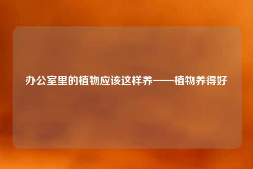办公室里的植物应该这样养——植物养得好