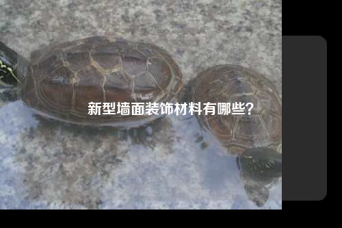 新型墙面装饰材料有哪些?