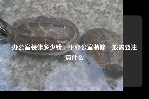 办公室装修多少钱一平办公室装修一般需要注意什么