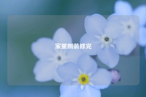 家里刚装修完