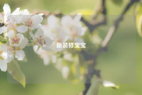 新装修宝宝