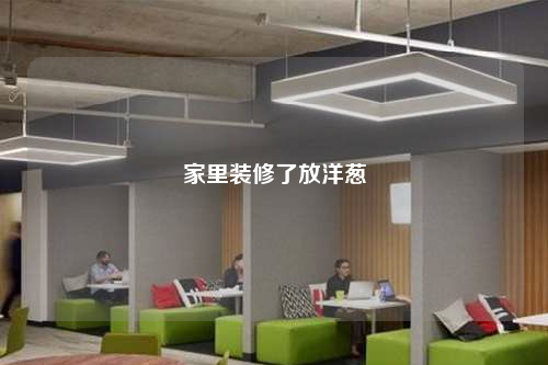 家里装修了放洋葱
