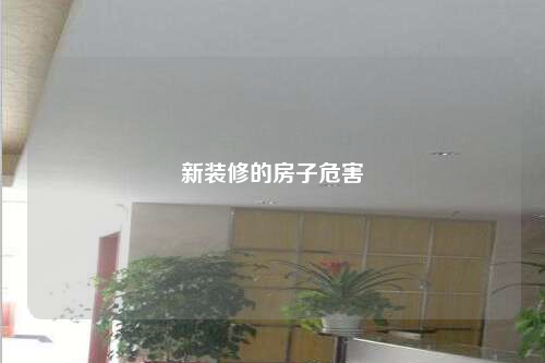 新装修的房子危害