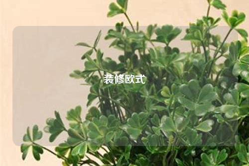 装修欧式
