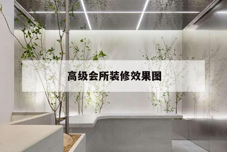 高级会所装修效果图,高端会所效果图
