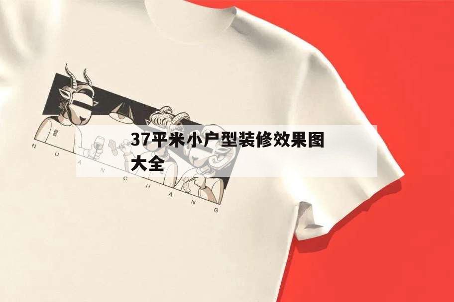 37平米小户型装修效果图大全,36平米小户型装修效果图