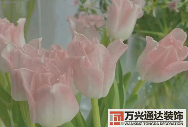 美国装修美国装修房子的流程