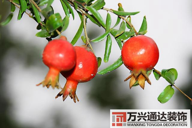 风水好的名字名字风水