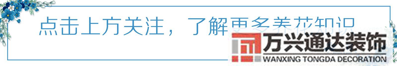 家风水植物家种风水植物