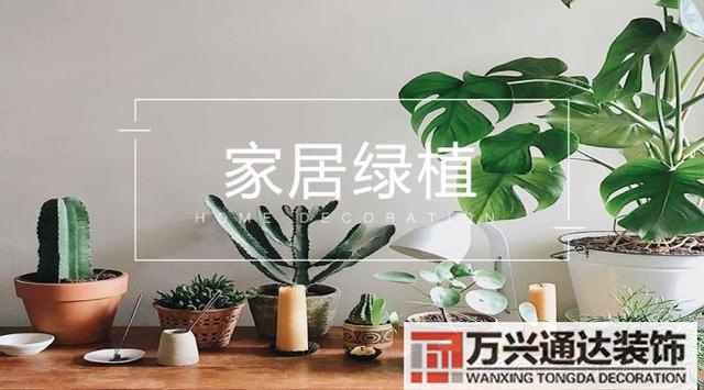 装修绿植装修绿植墙
