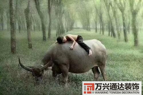 占星的风水占星占什么