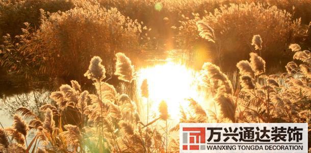 张学良风水张学良风水说
