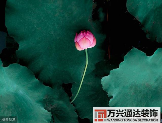 风水做灶风水作灶的意思