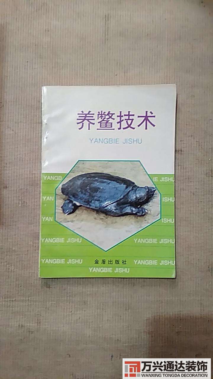 养鳖风水养鳖风水不好
